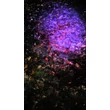 Kép 2/2 - primos_verkereso_lampa{77078_15898}