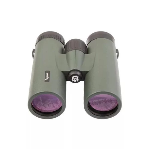 Keresőtávcső Professor Optiken Fichtelberg 10x42